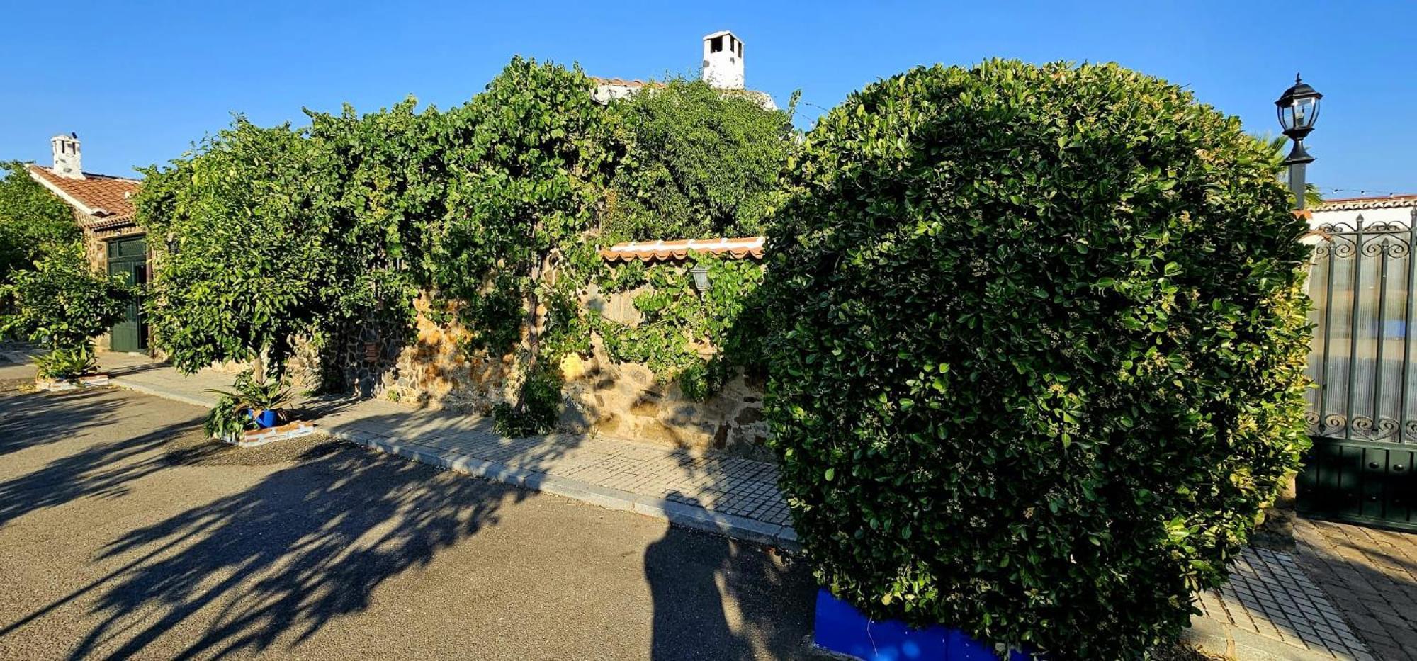 Apartamento Complejo Turistico El Soldado. Villanueva del Duque Exterior foto